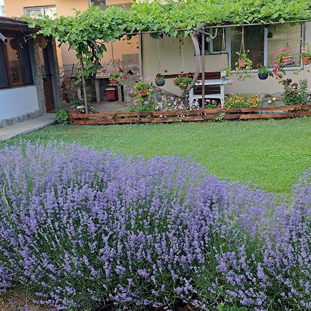 Guest House Sunrise شابلا المظهر الخارجي الصورة